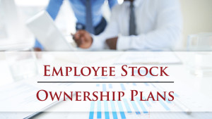 employee-stock-ownership-plan-large